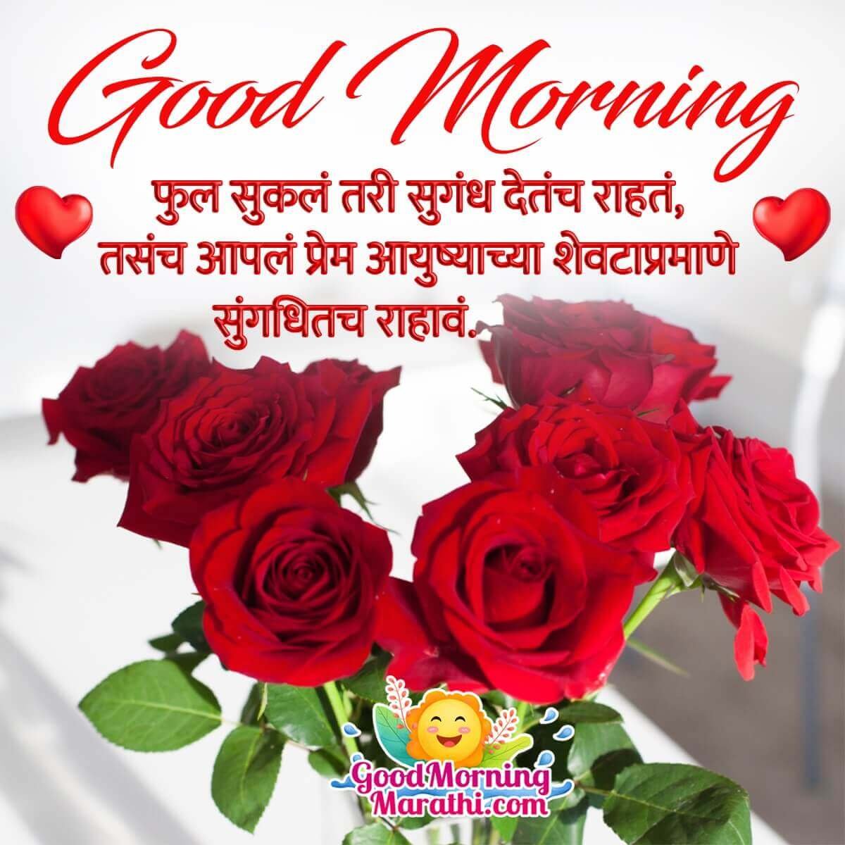 Lover Good Morning Rose Shayari Pic